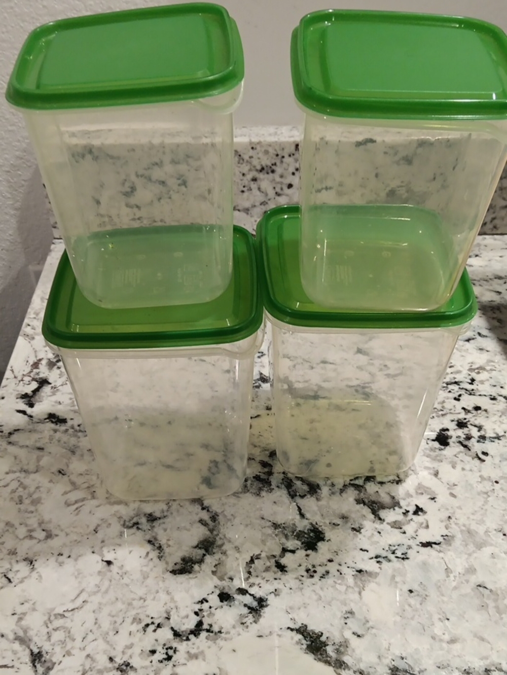 Ikea Green-Lid Food Storage Container Set - 4 Pack
